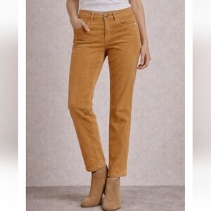 Pilcro & the Letterpress Mustard Corduroy Pants – Size 30 (Anthro)